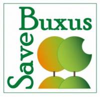 SaveBuxus