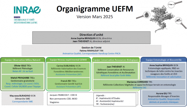 Organigramme 2025