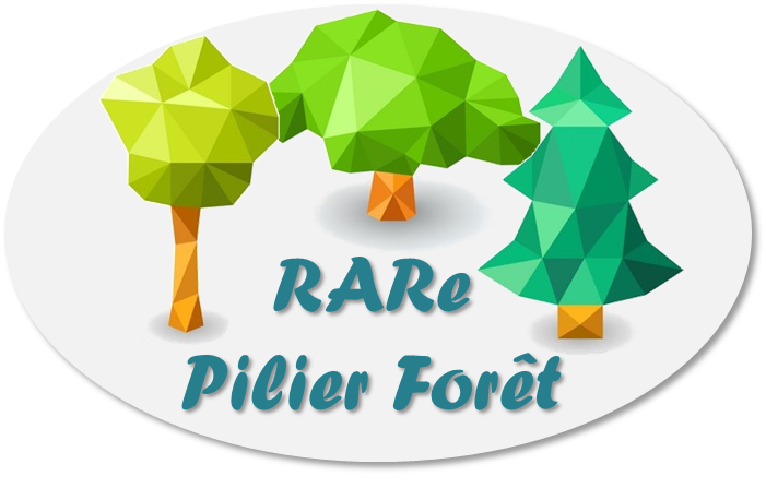 Pilier Forêt RARe